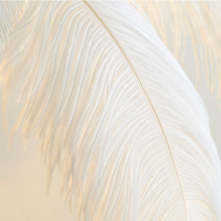 ChandelierDecor - Ostrich Feather Floor Lamp: Graceful Lighting Fixture