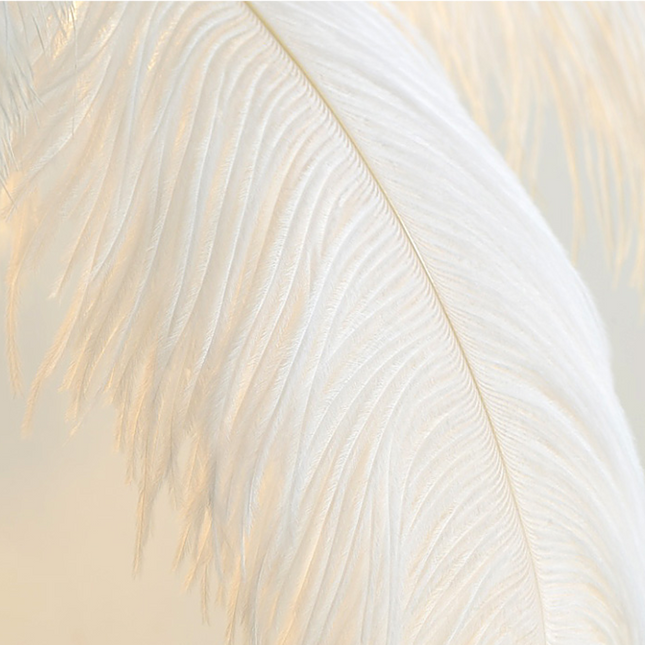 ChandelierDecor - Ostrich Feather Floor Lamp: Graceful Lighting Fixture