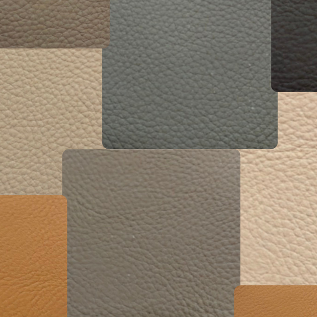 <h2>Geniune Leather</h2>