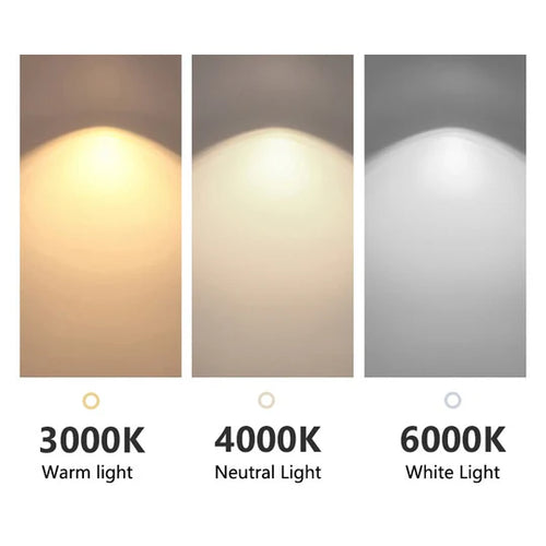 Light Colour