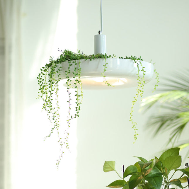 ChandelierDecor - Plant Pendant Hanging Lights - Illuminate Your Space