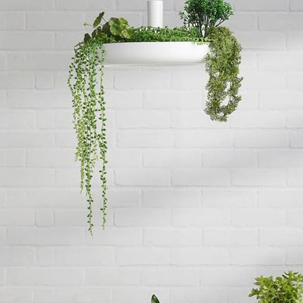 ChandelierDecor - Plant Pendant Hanging Lights - Illuminate Your Space