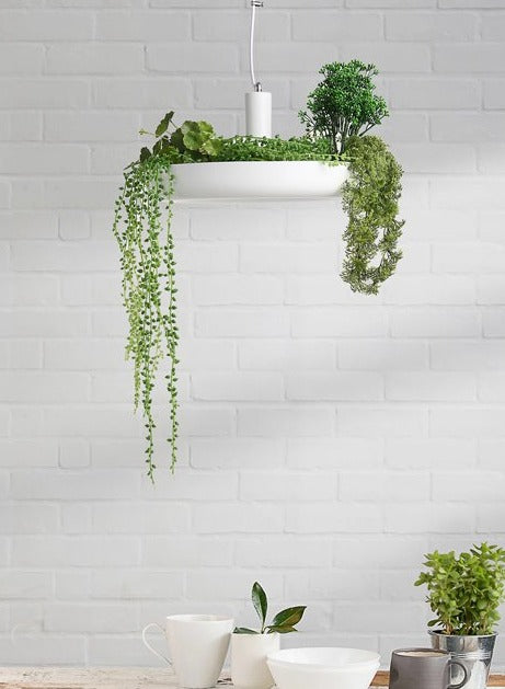 ChandelierDecor - Plant Pendant Hanging Lights - Illuminate Your Space