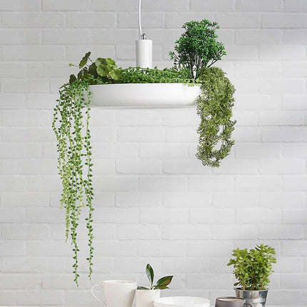 ChandelierDecor - Plant Pendant Hanging Lights - Illuminate Your Space