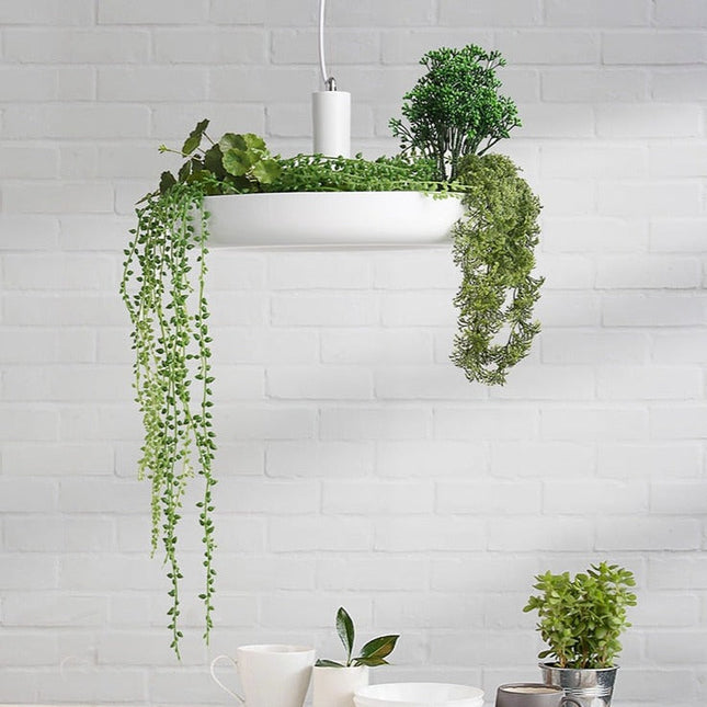 ChandelierDecor - Plant Pendant Hanging Lights - Illuminate Your Space