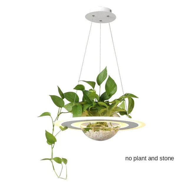 ChandelierDecor - Ring Plant Pendant Lustre Planet Light